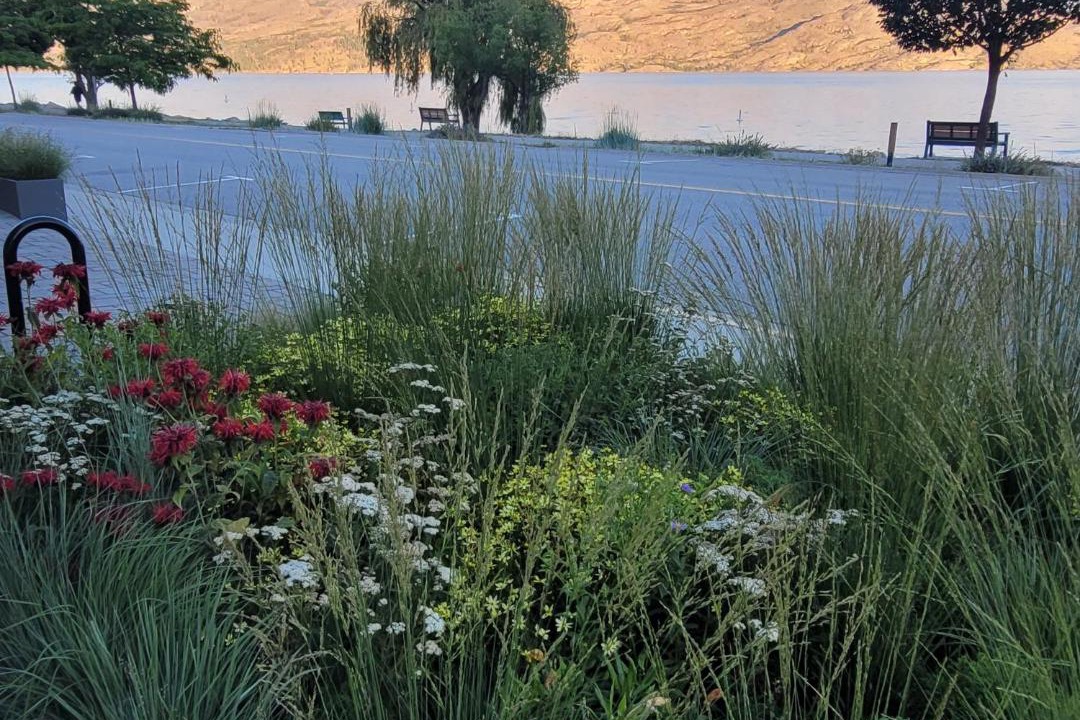 Photo of Others in Central Okanagan