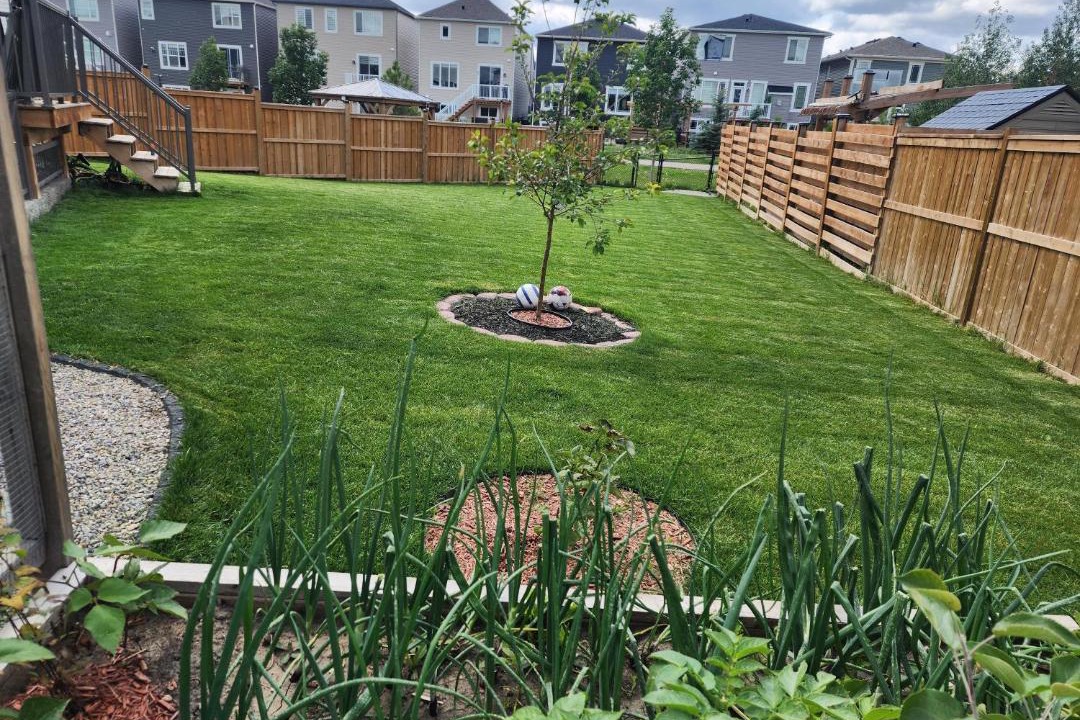 Photo of Others in Northwest Calgary