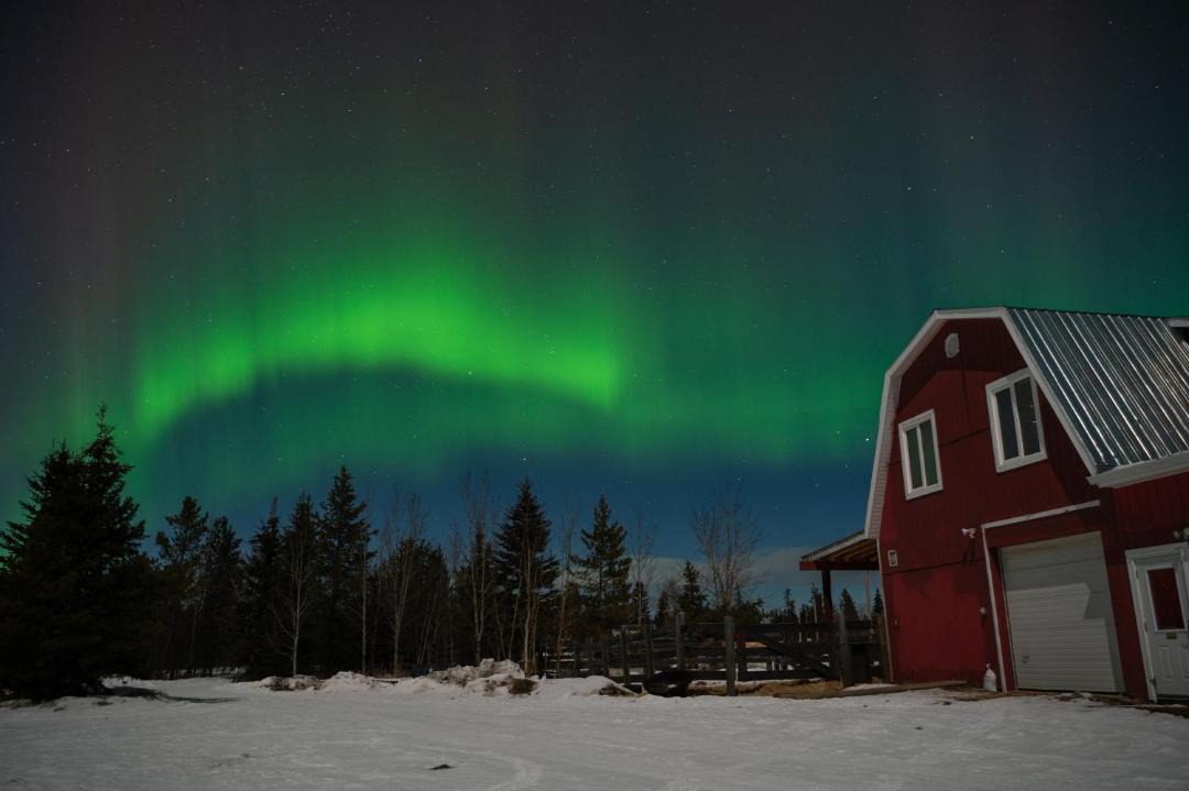 Photo of Others in Whitehorse