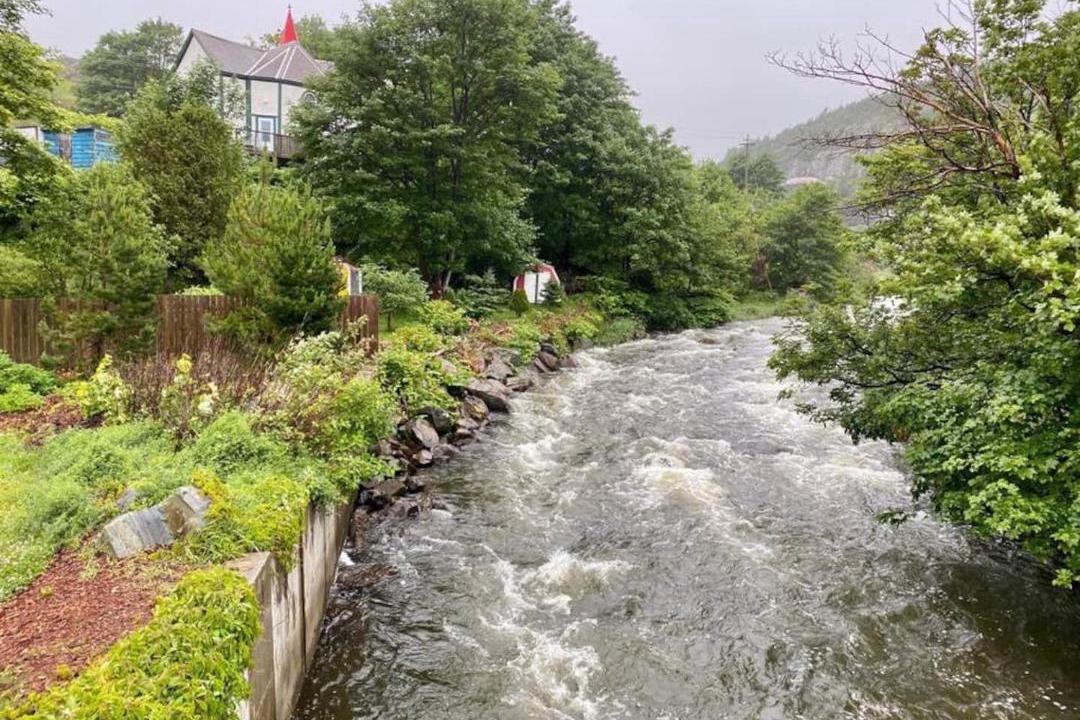 Photo of Others in Quidi Vidi