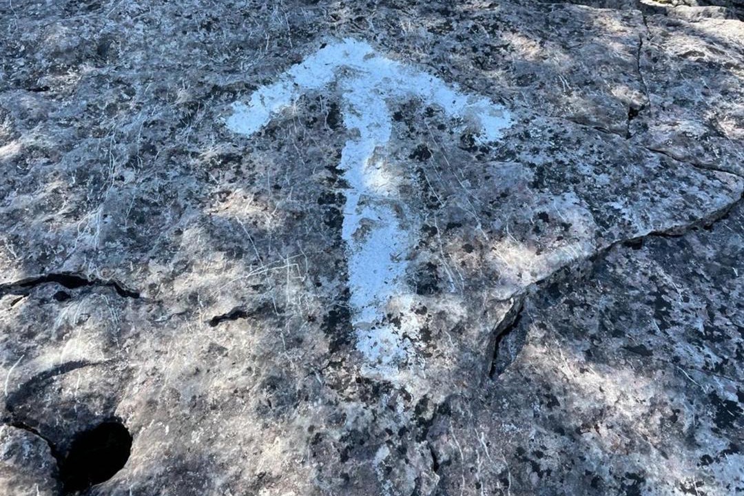 Photo of Others in Northern Bruce Peninsula