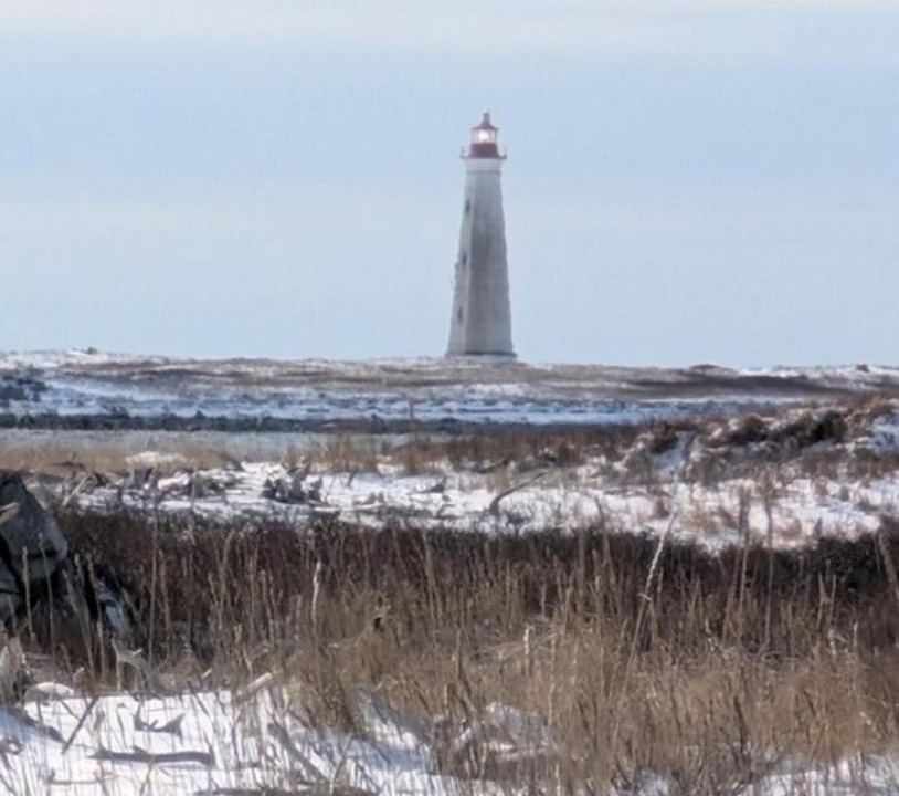 Photo of Others in Shag Harbour