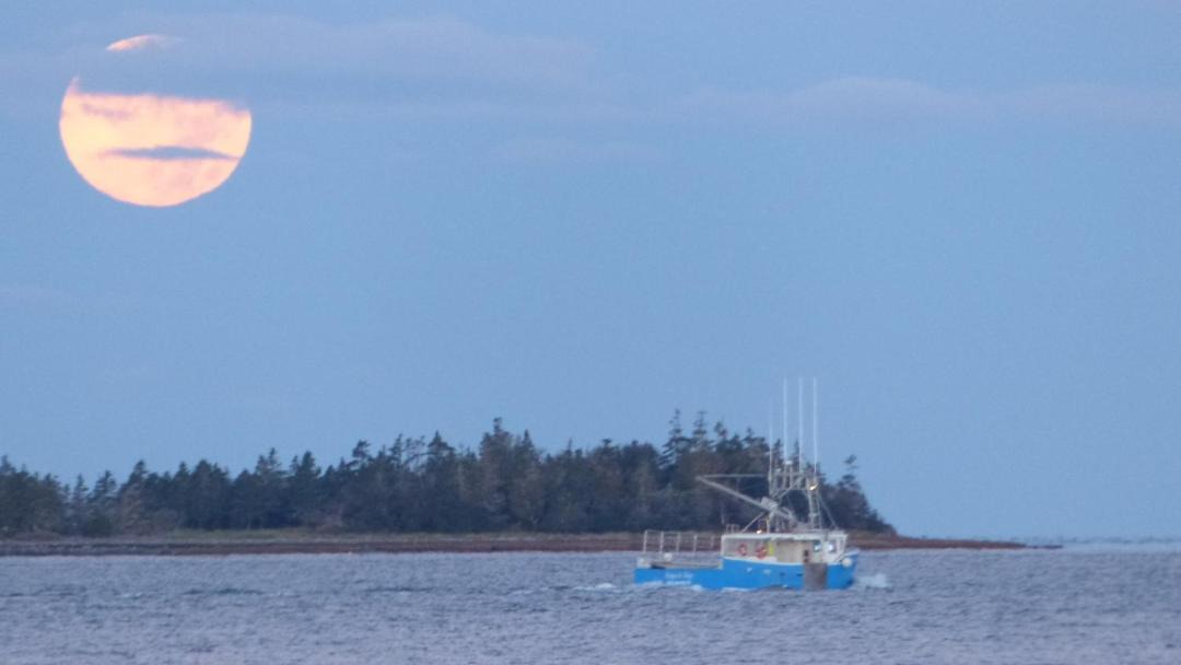 Photo of Others in Shag Harbour