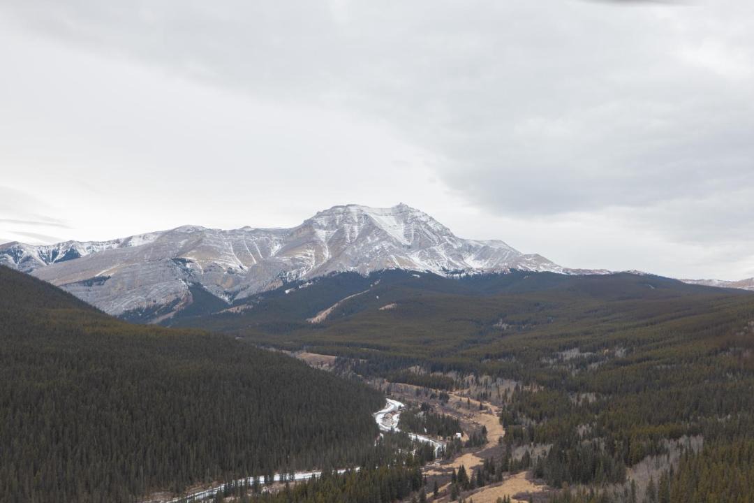 Photo of Others in Red Deer River Crossing