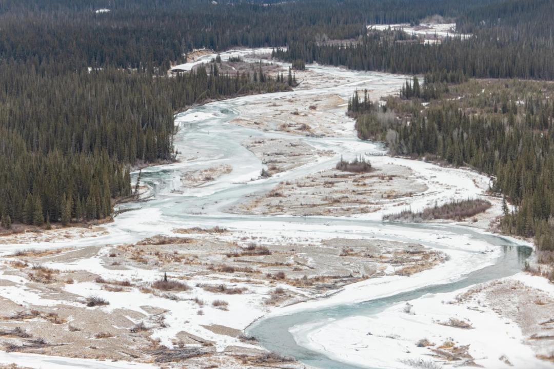 Photo of Others in Red Deer River Crossing