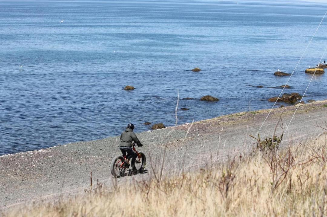 Photo of Others in Conception Bay South