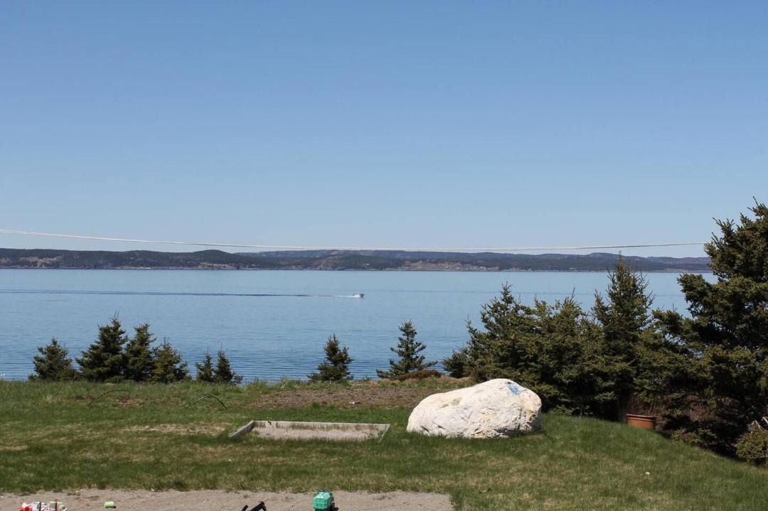 Photo of Others in Conception Bay South