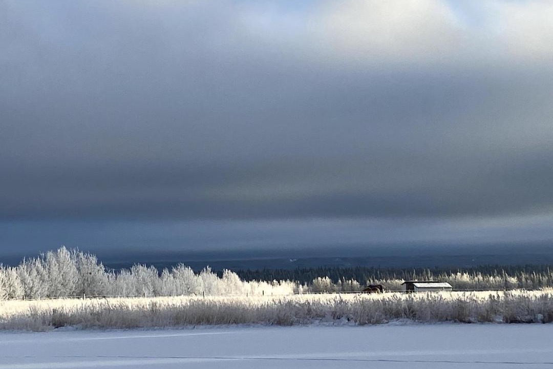 Photo of Others in Whitehorse