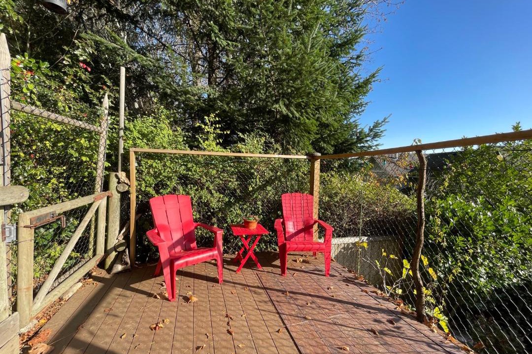 Photo of Patio Balcony in Saanich East