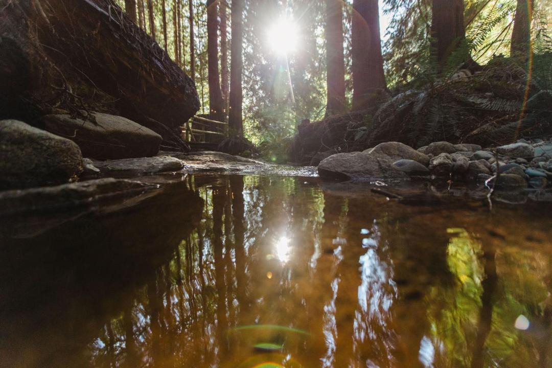 Photo of Others in Roberts Creek