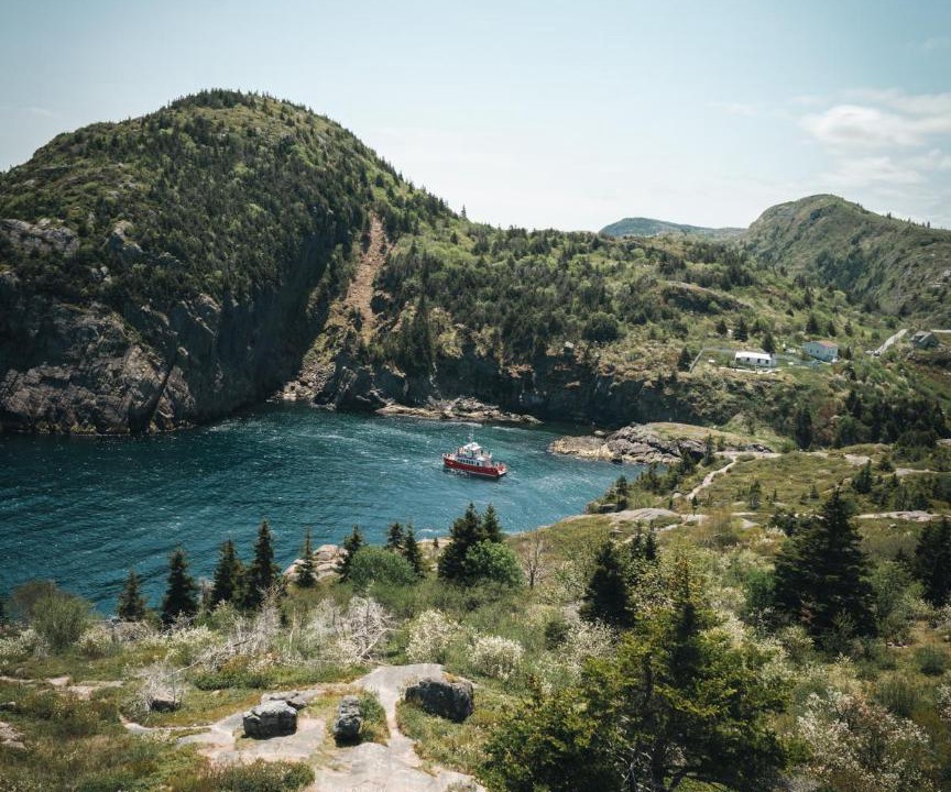 Photo of Others in Quidi Vidi