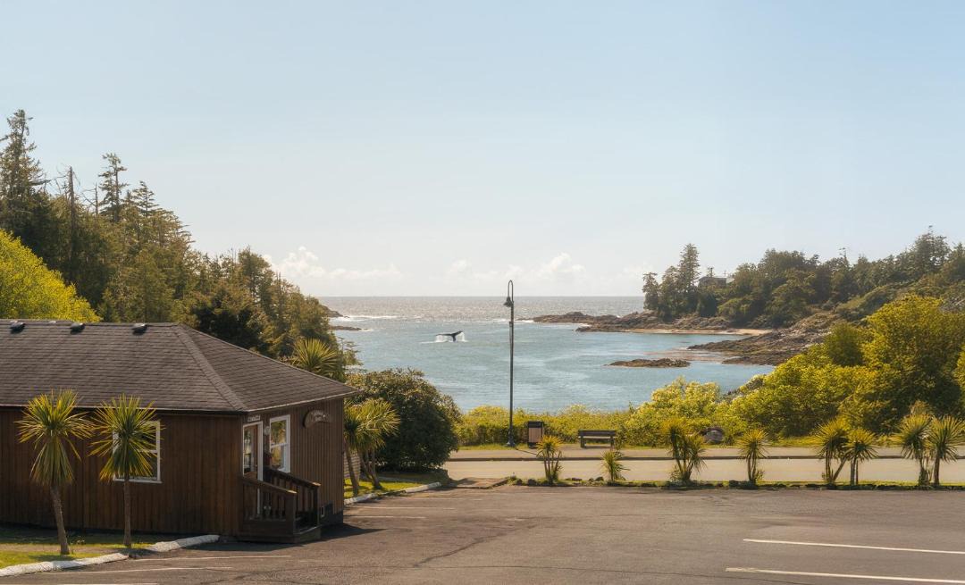 Photo of Others in Ucluelet