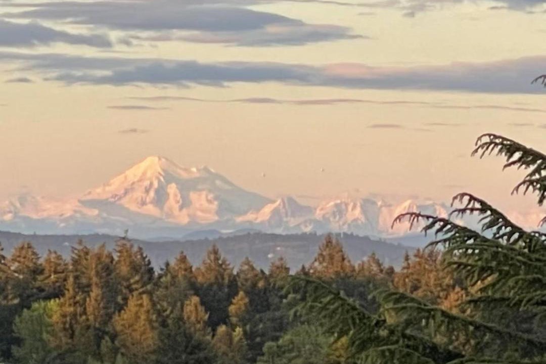 Photo of Others in Saanich East