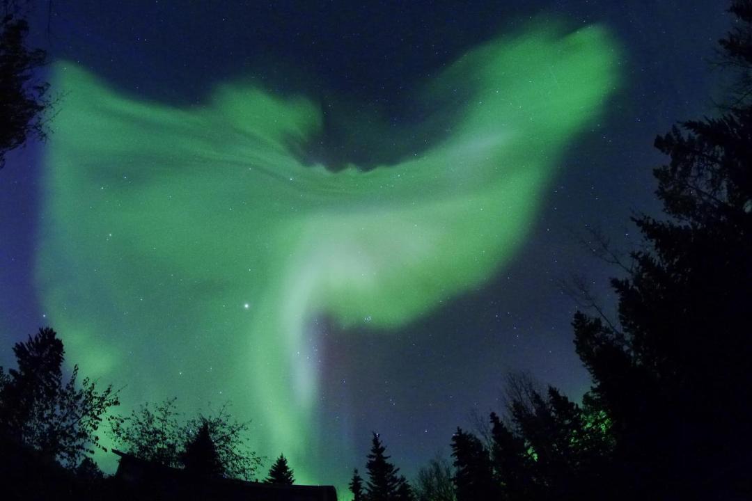 Photo of Others in Whitehorse