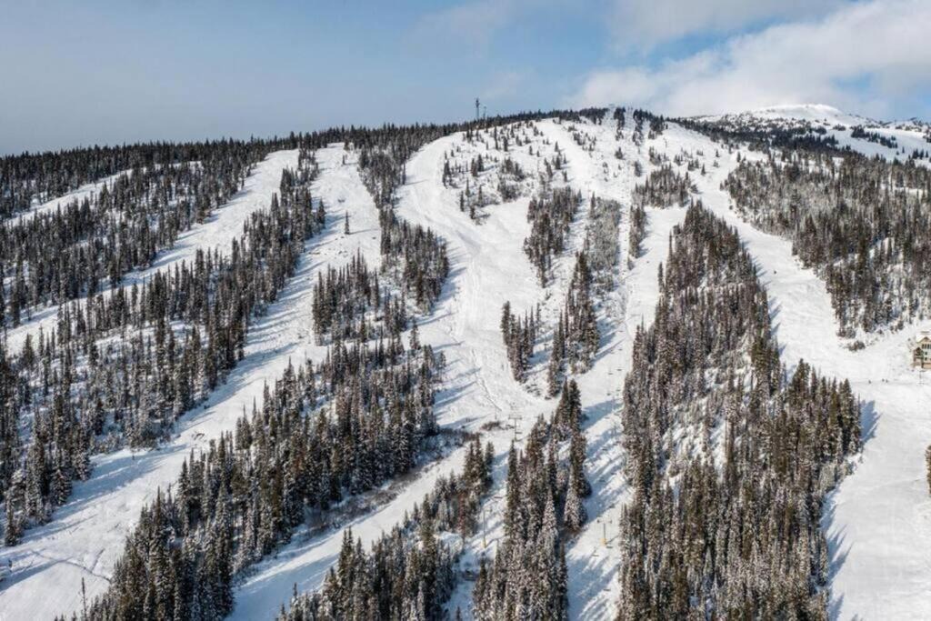 Photo of Others in Snow Pine Estates