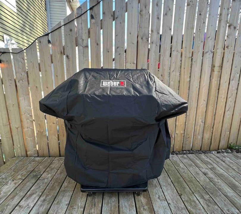 Photo of Others in Downtown St. John's