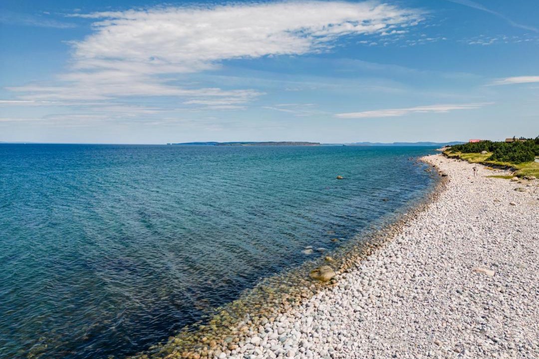 Photo of Others in Conception Bay South