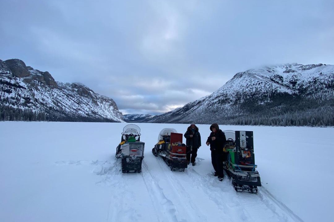 Photo of Others in Whitehorse