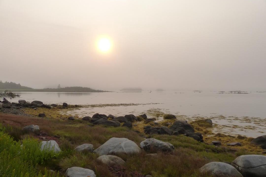 Photo of Others in Shag Harbour