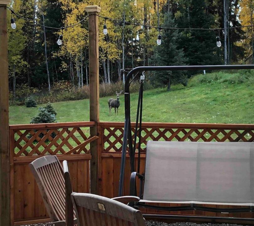 Photo of Others in Smithers