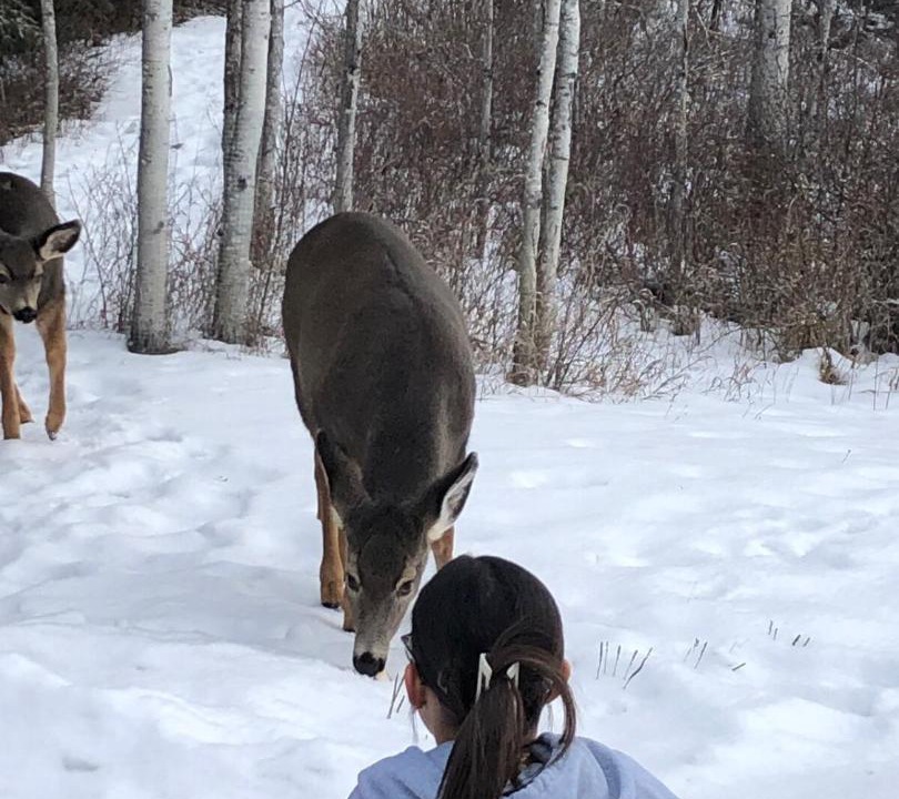 Photo of Others in Smithers