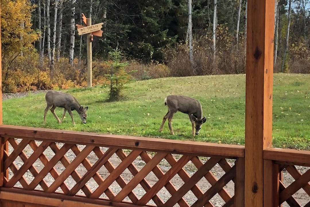 Photo of Others in Smithers