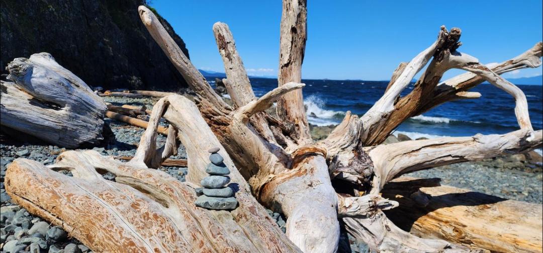 Photo of Others in Regional District of Nanaimo