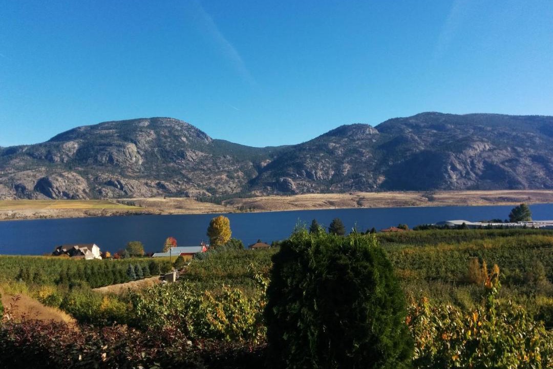 Photo of Others in Osoyoos