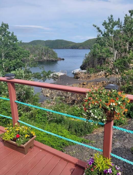 Photo of Others in Fogo