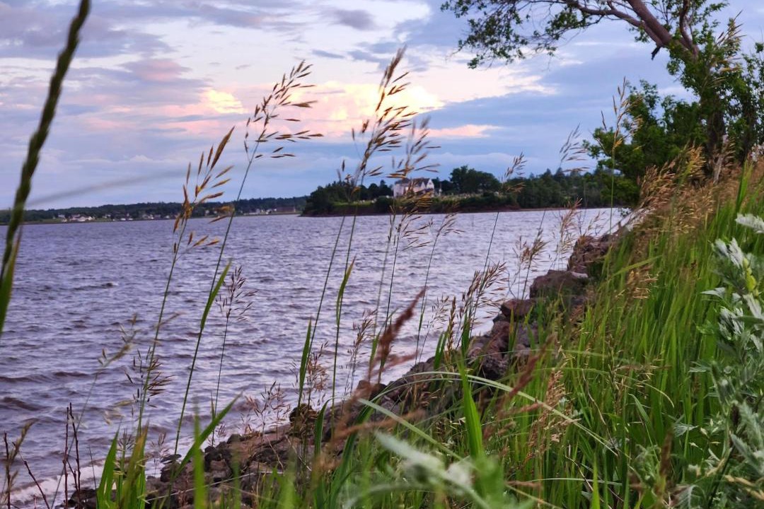 Photo of Others in Baie de Bouctouche