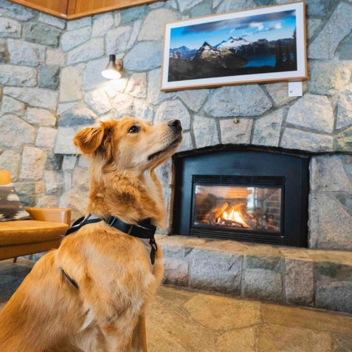 Photo of Others in Whistler Village