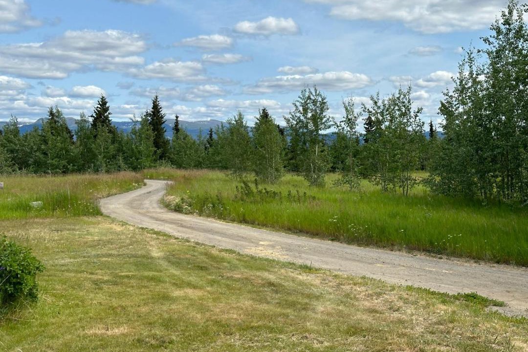 Photo of Others in Whitehorse