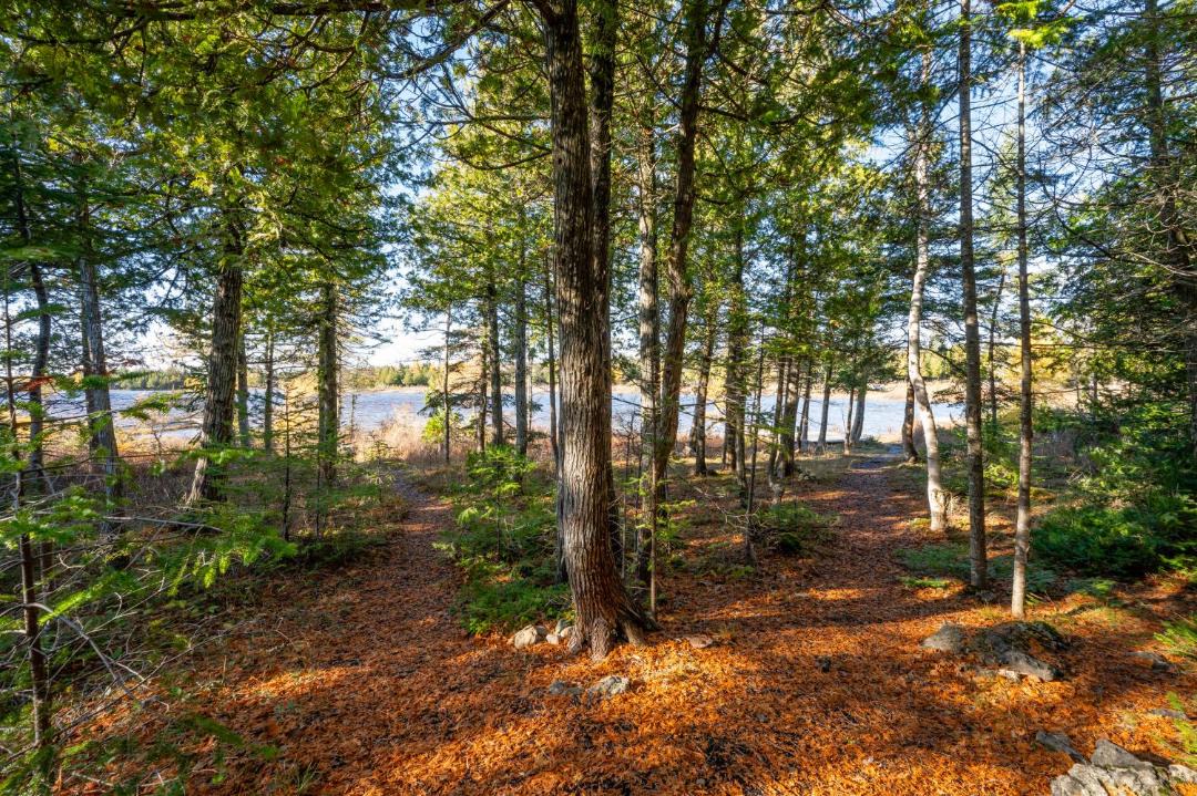 Photo of Others in Northern Bruce Peninsula