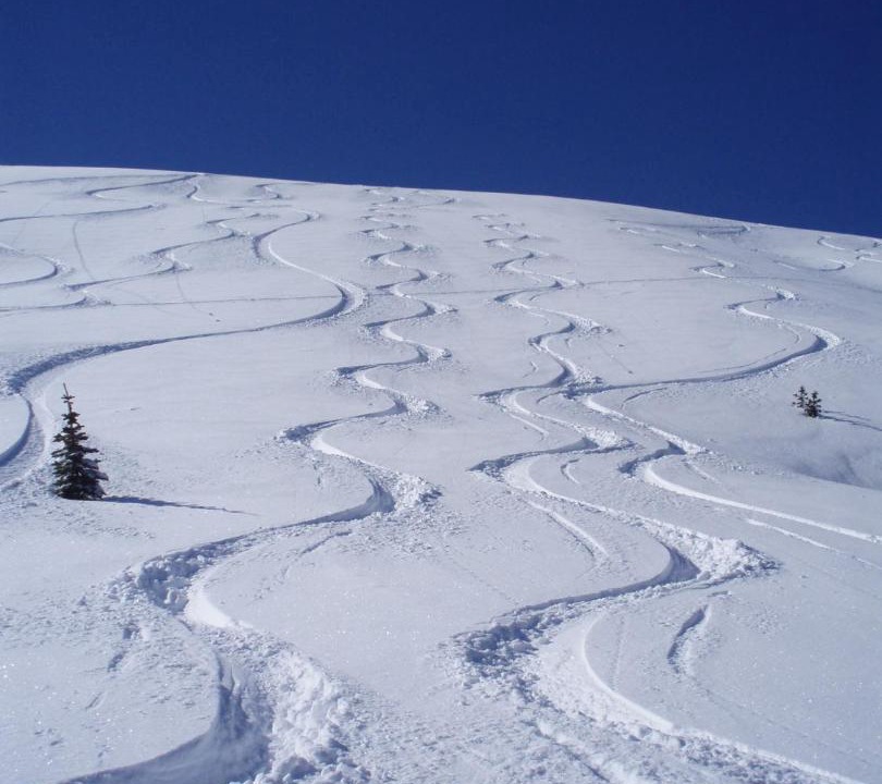 Photo of Others in Alpine Meadows