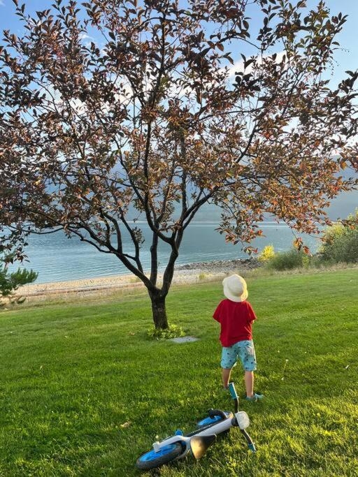 Photo of Others in Nakusp