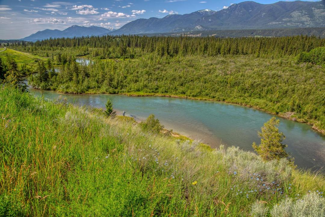 Photo of Others in East Kootenay
