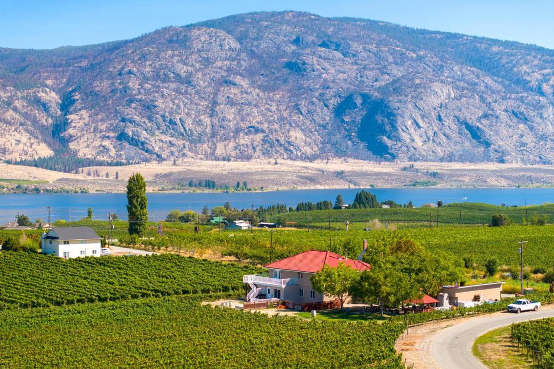 Photo of Others in Osoyoos