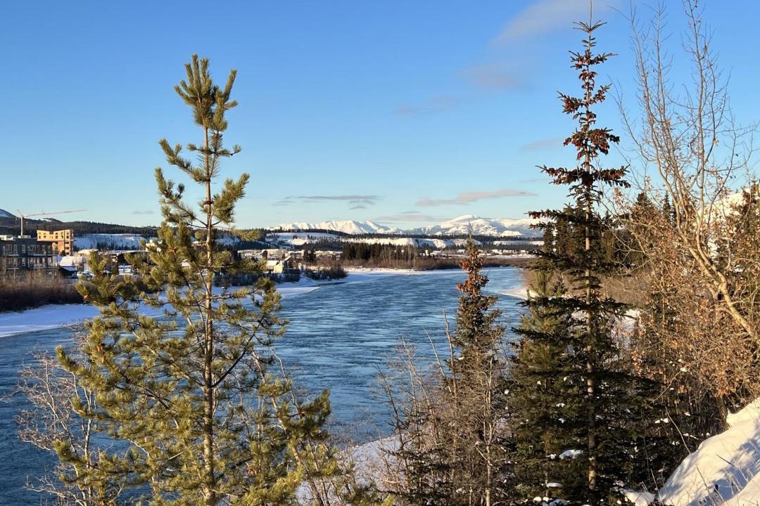 Photo of Others in Whitehorse