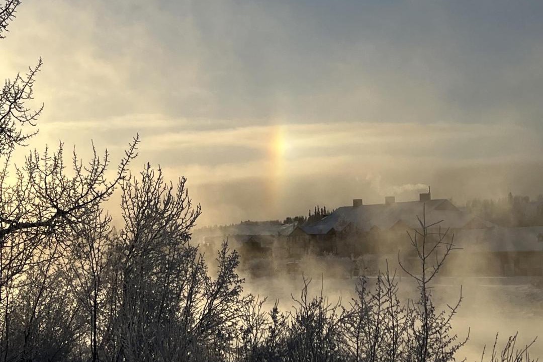 Photo of Others in Whitehorse