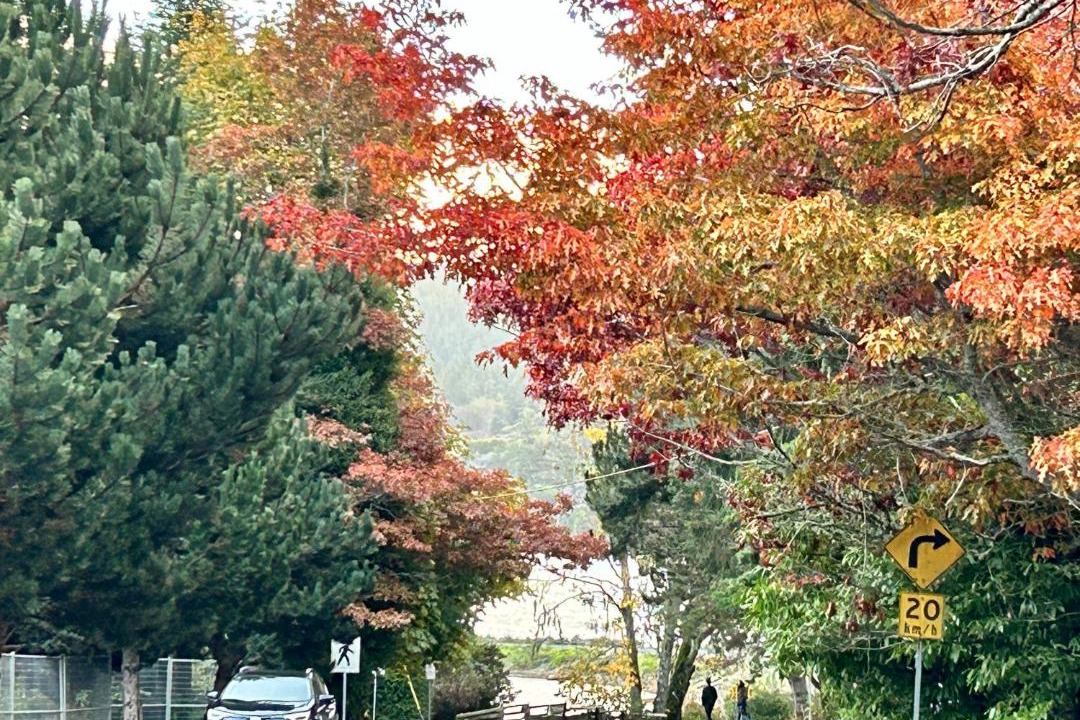 Photo of Others in Sooke