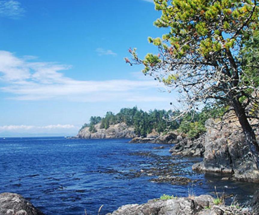 Photo of Others in Sooke