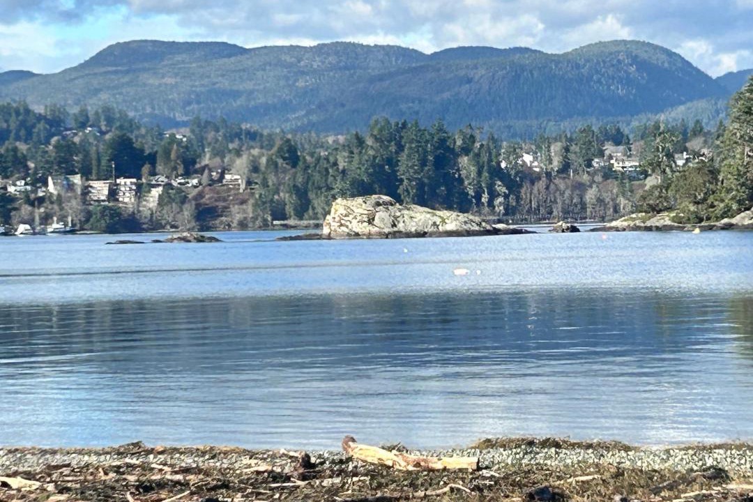 Photo of Others in Sooke