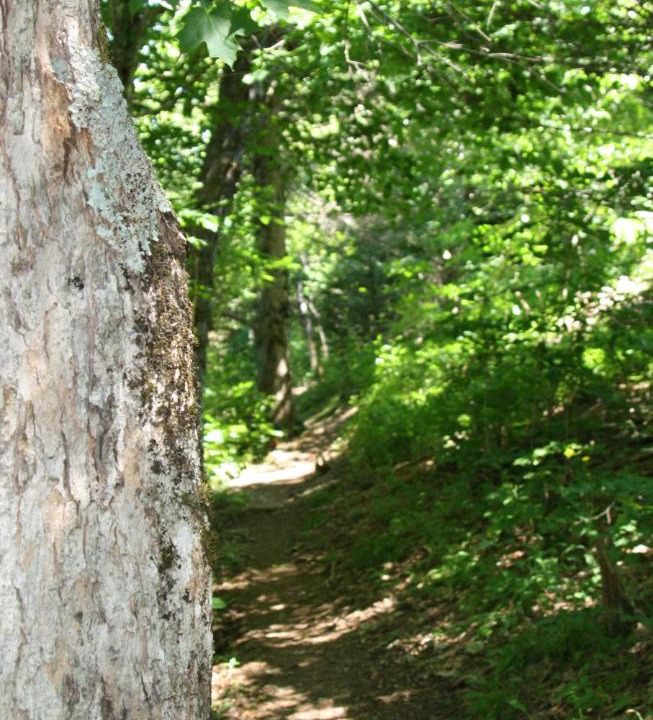 Photo of Others in Scotsburn