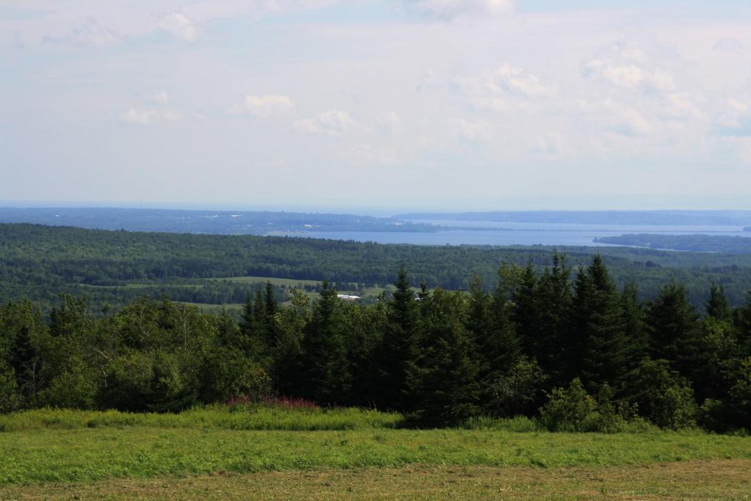 Photo of Others in Scotsburn