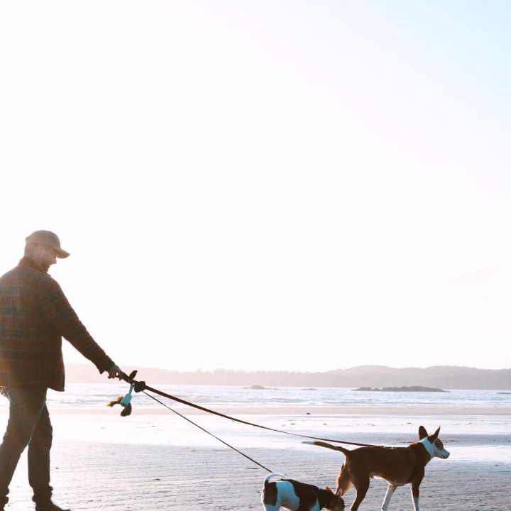 Photo of Others in Tofino