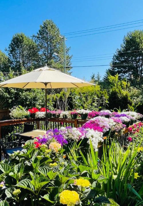 Photo of Others in Saanich West