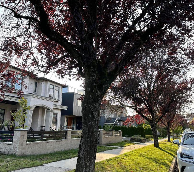 Photo of Others in Vancouver South