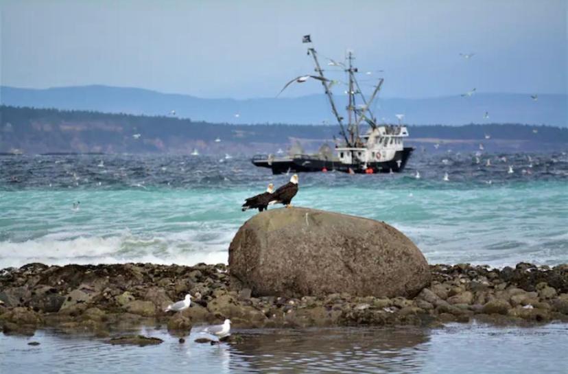 Photo of Others in Regional District of Nanaimo