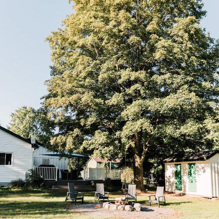 Photo of Others in West Lake