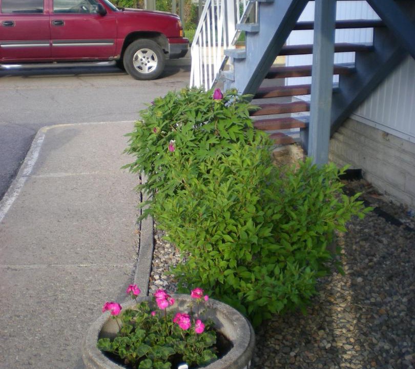 Photo of Others in Vaudreuil